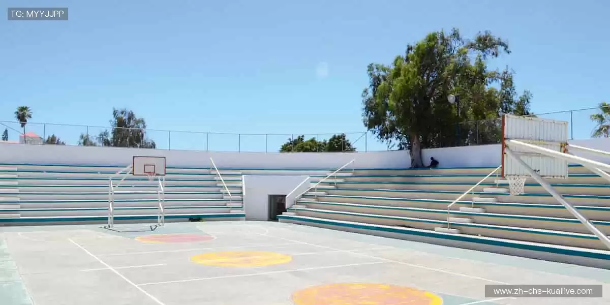 从赛场到屏幕,用热爱连接世界!🌐❤️